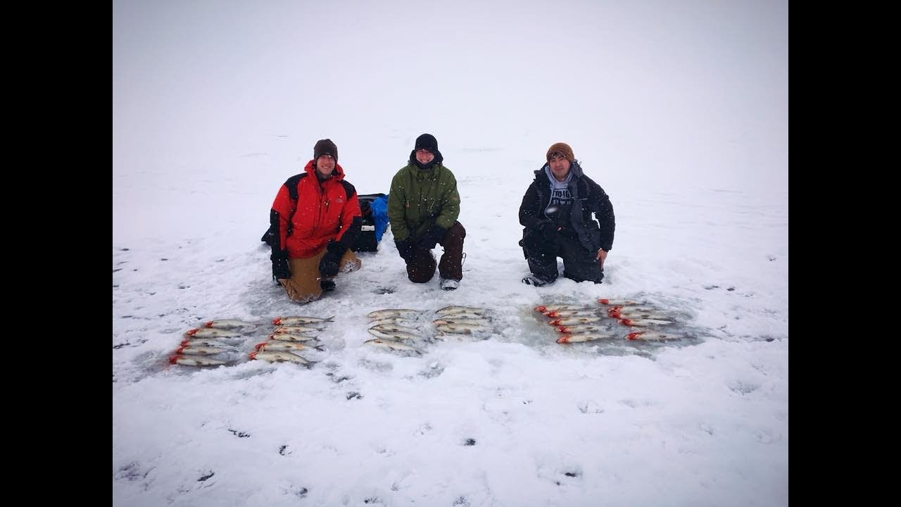 Ice Fishing Green Bay Whitefish Snow Storm YouTube
