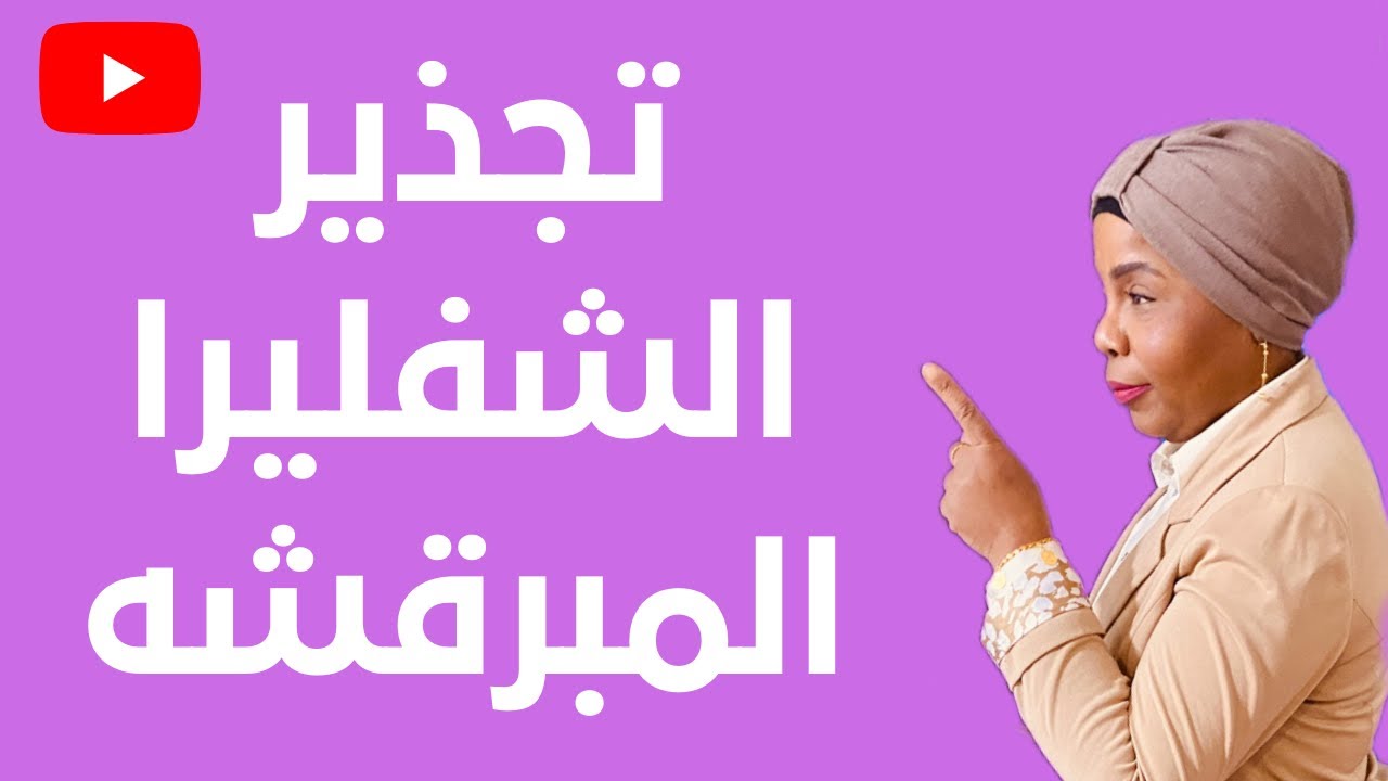 اول مره اجذر نبات الشفليرا المبرقشه