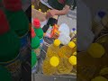 في قوافل الخير نمضي