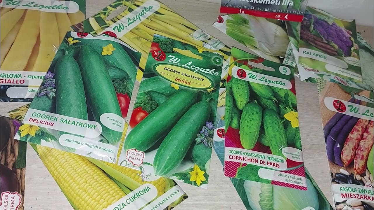 When to plant cucumber seeds indoors YouTube