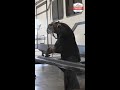 Service Your RV Today