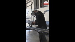 Service Your RV Today