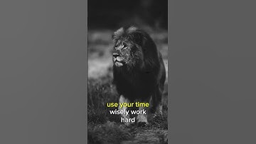 Make Every Moment Count #motivation #shorts #discipline #quotes