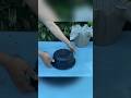 Everyone Can Do It To Your Home Of Cement Pots #cementpot #shortvideo #shorts