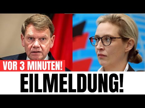 Was Weidel im