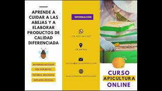 Curso ONLINE de apicultura orgánica