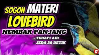 MASTERAN SOGON MATERI LOVEBIRD NEMBAK PANJANG TERAPI AIR DAN JEDA 20 DETIK!!! #sogon #sogokontong