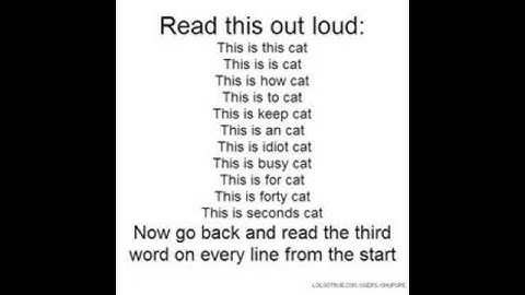 How to keep an idiot busy for 40 seconds