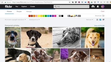 How to Find Public Domain Videos on Flickr