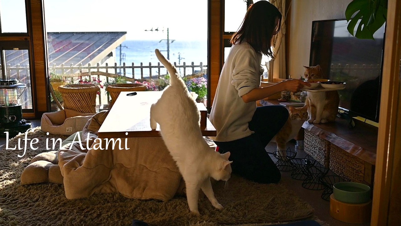 143 A Day Trip | Deeply Healed by Everyday Life and the Izu Sky