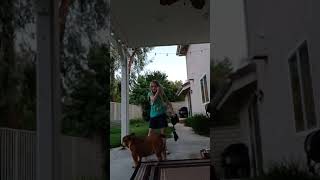 tug-of-war with my dog