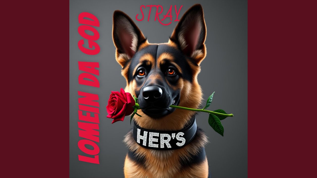 Watch STRAY on YouTube Watch STRAY on YouTube