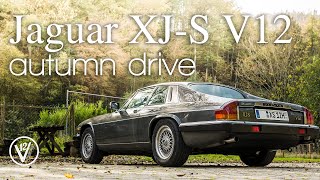 Jaguar XJ-S V12 manual hill climb autumn drive. Amazing sound!