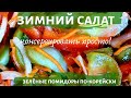 Рецепт не как у всех! | Зелёные помидоры по-корейски | Консервировать ПРОСТО!