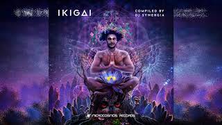 VA - Ikigai (Compiled By DJ Synergia)