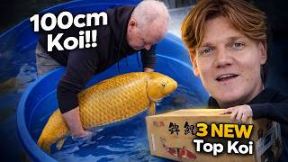 100CM KOI \u0026 3 New Japanese Imports! | Visiting Filip Poppe