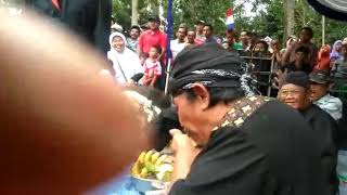 Jaranan pegon Budi Rukun, Dsn.  Sepatan,  Desa.  Mangunharjo,  Arjosari,  Pacitan