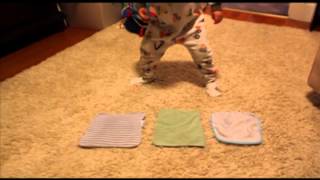 Age Appropriate Chores for 2-3 Year Old