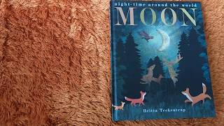 Moon by Britta Teckentrup