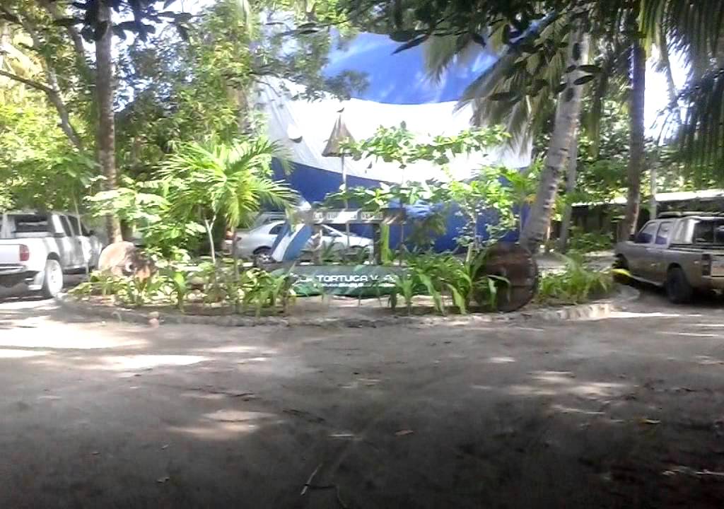 Hotel La tortuga verde Intipuca El Salvador
