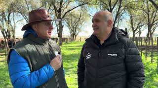 GUILLERMO DI CARLO. REMATE EN LAPRIDA DE ABRIL. CON RUBÉN BERMAN. ANALISIS Y PRECIOS🐂🐂🐂🐂🐂🐂🇦🇷🇦🇷🇦🇷🇦🇷🎙️