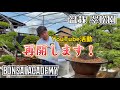【リニューアル報告】YouTube活動再開します!!