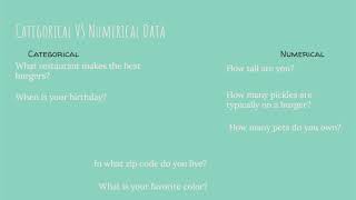 Categorical vs Numerical Data