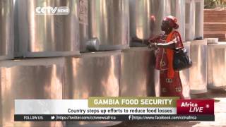 Gambia steps up efforts to reduce food losses screenshot 5