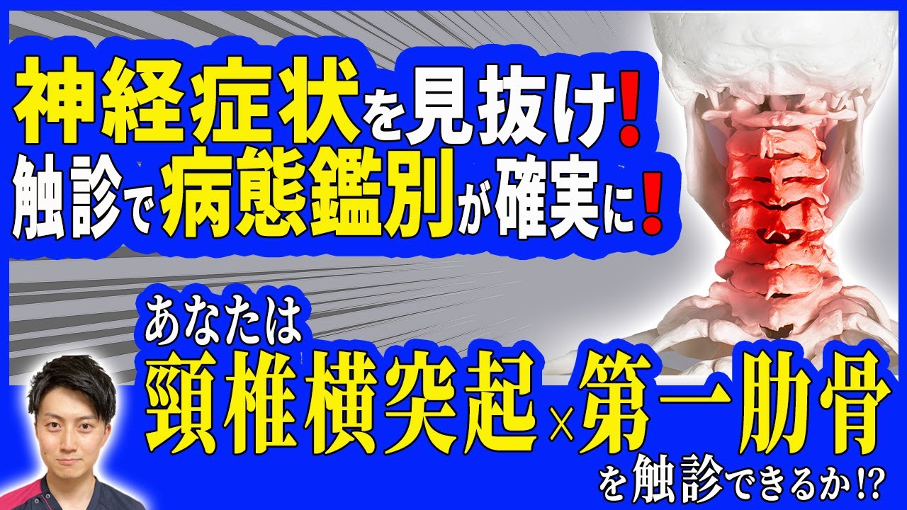 【神経症状を見抜く触診①】鑑別は“頸椎横突起＆第一肋骨”の触診から始まる！／吉井太希先生