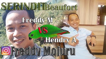 Memikat SERINDIT bersama Master BEAUFORT _ vlog #079