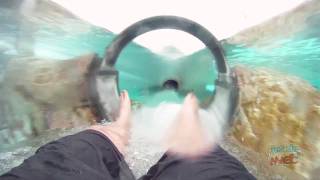 Dolphin Plunge water slide POV at Aquatica SeaWorld Orlando