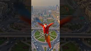 Karachi City of light