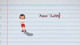 Language and Arts - Greek and Latin Roots