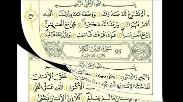 95 سورة التين الشيخ علي الحذيفي رواية قالون