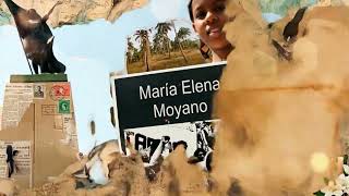 🖤✨ HERENCIA AFROPERUANA: Un legado que enorgullece al Perú