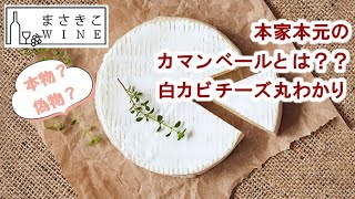 15分でチーズ丸わかり②白カビチーズ、本物のカマンベールって何？！