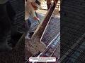 Reinforced Concrete Floor Pouring