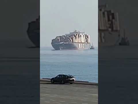 msc container ship rolling 🚢🌊 || #shorts