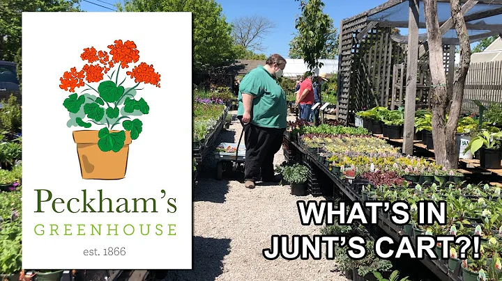 What's in Junt's Cart? - Peckham's Greenhouse