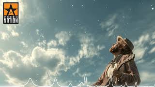Sky Is The Limit ft. Dominic Colizzi (YouTube Audio Library)