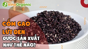 VinaOrganic Hướng dẫn làm cốm gạo lứt đen giòn rụm siêu ngon ăn Tết