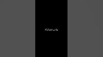 من سورة النور بصوت القارئ أبو بكر الشاطري، جزاه الله خيراً 🍃✨