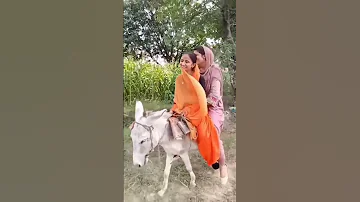Latest Viral Video 2023 Donkey Ride Funny Donkey Ride Ladies Donkey Ride 