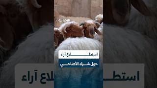 الإخبارية تستطلع نية الأهالي لشراء أضحية للعيد
