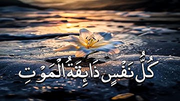 تلاوة تقشعر لها الأبدان بصوت عبد الرحمن مسعد 🕛🎧 ساعة كاملة  ❤️ Abdul Rahman Mosad