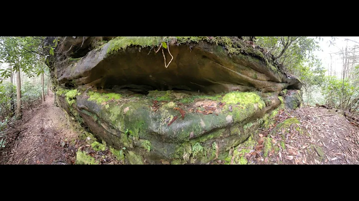 Pickett CCC Memorial State Park (April 2022)