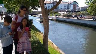 Aveiro, a ria e os moliceiros !