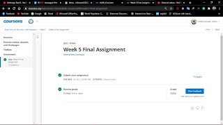 Excel For Business Intermediate 2 || Week 5 Final Assignment || Coursera