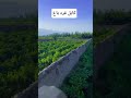 دی کابل قره باغ ولسوالی