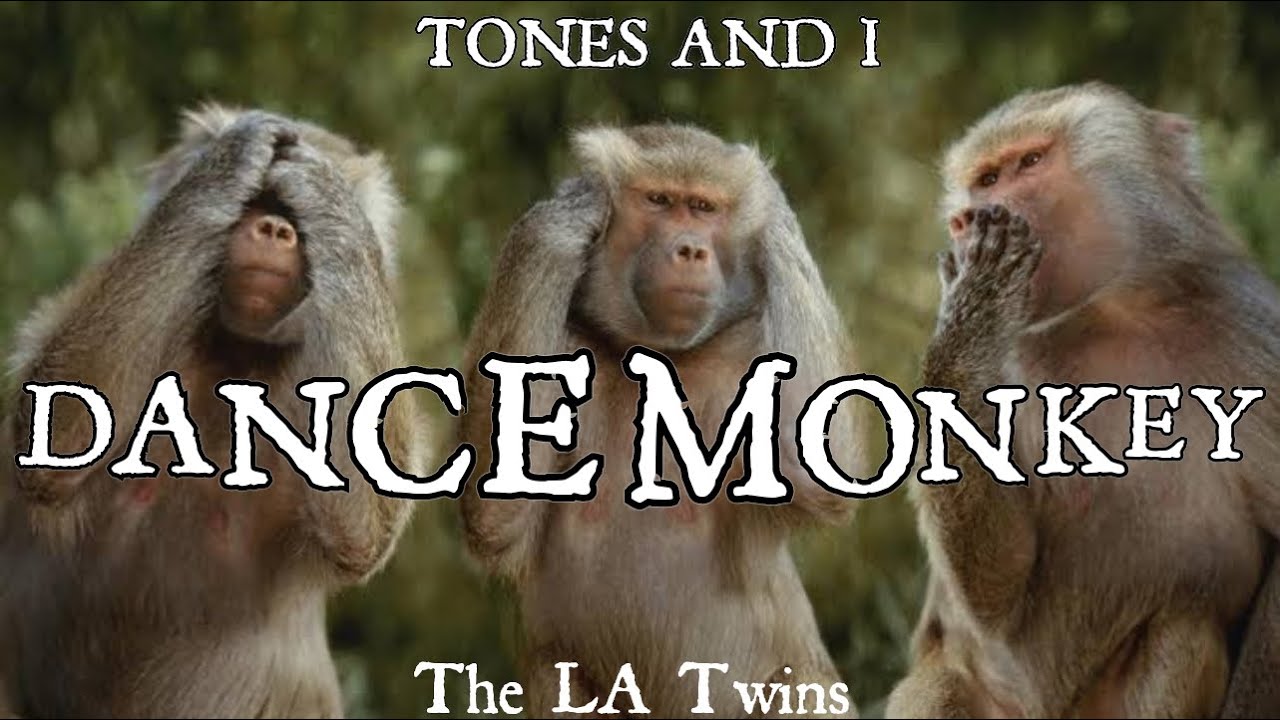Tones And I - Dance Monkey (Lyrics) - YouTube